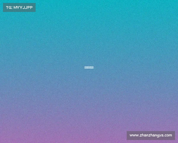 游戏机甲大师 游戏机甲大师